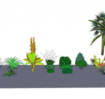 2D灌木植物系列SU模型下载_sketchup草图大师SKP模型