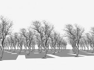 2D枯树冬季树SU模型下载_sketchup草图大师SKP模型