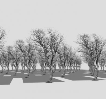 2D枯树冬季树SU模型下载_sketchup草图大师SKP模型