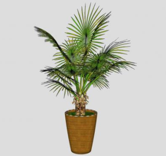 盆景花盆景观植物SU模型下载_sketchup草图大师SKP模型