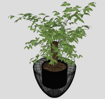 通风的花盆盆栽植物SU模型下载_sketchup草图大师SKP模型