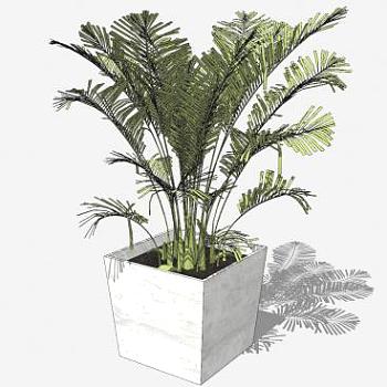 <em>花盆</em>盆栽的<em>植物</em>SU模型下载_sketchup草图大师SKP模型