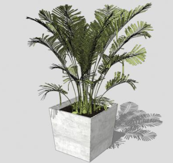 花盆盆栽的植物SU模型下载_sketchup草图大师SKP模型