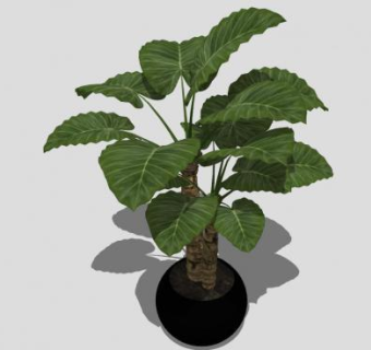 圆形小花盆盆景植物SU模型下载_sketchup草图大师SKP模型