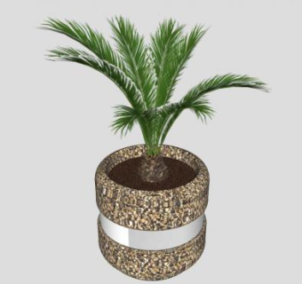 花盆盆栽铁树植物SU模型下载_sketchup草图大师SKP模型