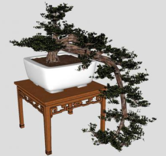 中式迎客松盆景植物SU模型下载_sketchup草图大师SKP模型