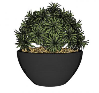 瓦盆栽观赏植物SU模型下载_sketchup草图大师SKP模型