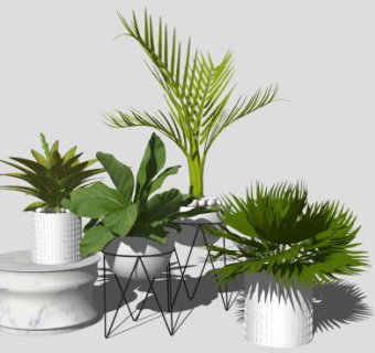 室内花盆观赏植物SU模型下载_sketchup草图大师SKP模型