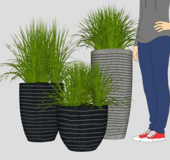 现代景观花盆植物SU模型下载_sketchup草图大师SKP模型