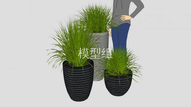 現代景觀花盆植物su模型下載_sketchup草圖大師skp模型