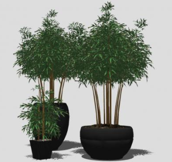 精细的竹子盆景盆栽植物SU模型下载_sketchup草图大师SKP模型