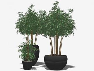 精细的竹子盆景盆栽植物SU模型下载_sketchup草图大师SKP模型
