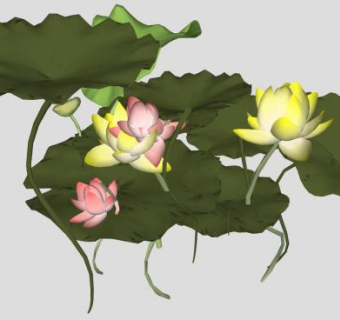荷叶荷花莲花植物SU模型下载_sketchup草图大师SKP模型