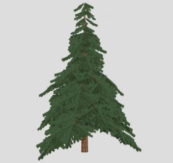 枞树树木SU模型下载_sketchup草图大师SKP模型