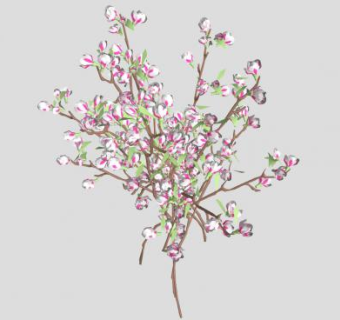 桃花桃树SU模型下载_sketchup草图大师SKP模型