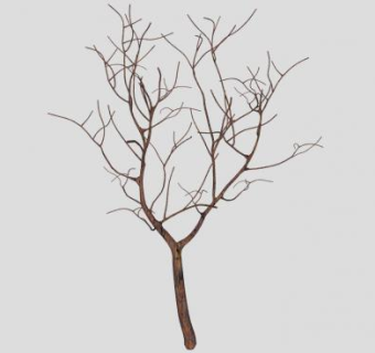 冬天的枯树SU模型下载_sketchup草图大师SKP模型