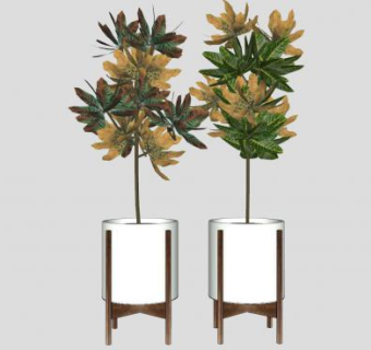 观赏花盆植物盆栽SU模型下载_sketchup草图大师SKP模型