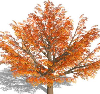 红叶景观树木SU模型下载_sketchup草图大师SKP模型