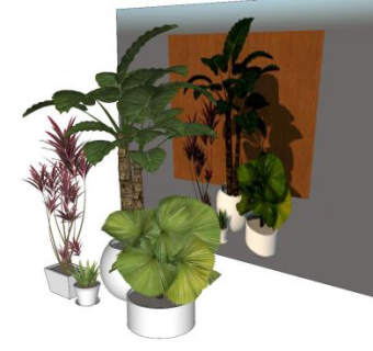 现代观叶植物盆栽系列SU模型下载_sketchup草图大师SKP模型