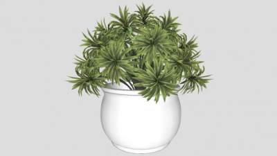 陶瓷花盆植物SU模型下载_sketchup草图大师SKP模型