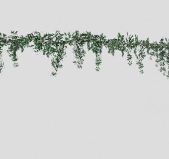 蔓藤爬藤植物SU模型下载_sketchup草图大师SKP模型