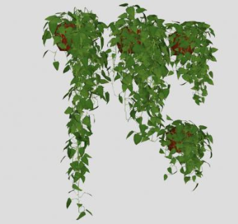 吊篮花盆植物SU模型下载_sketchup草图大师SKP模型