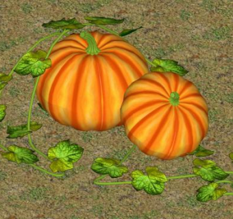 南瓜叶南瓜SU模型下载_sketchup草图大师SKP模型