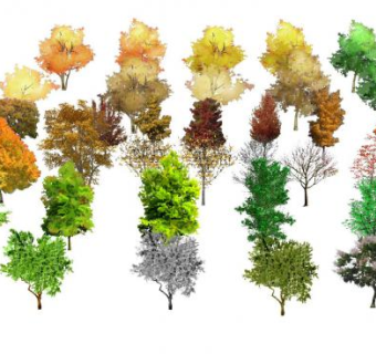 各类二维树木系列SU模型下载_sketchup草图大师SKP模型