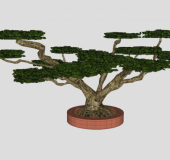迎客松盆景盆栽摆件SU模型下载_sketchup草图大师SKP模型