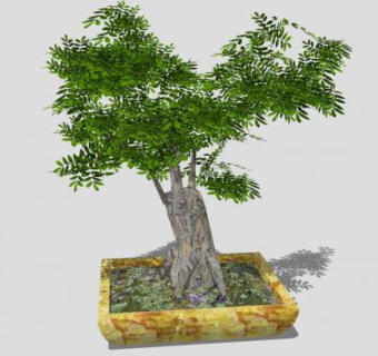 中式盆栽盆景植物SU模型下载_sketchup草图大师SKP模型