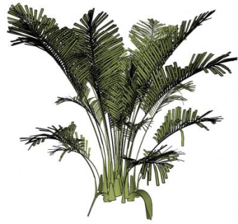 大型景观植物SU模型下载_sketchup草图大师SKP模型