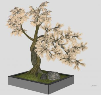 山石树桩盆景SU模型下载_sketchup草图大师SKP模型