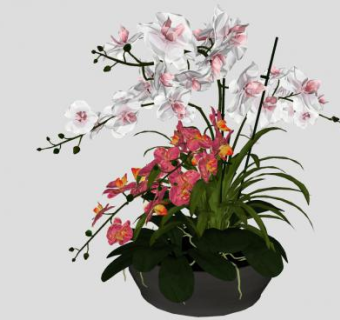 精美盆栽盆景花盆植物SU模型下载_sketchup草图大师SKP模型