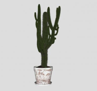 仙人掌盆栽植物SU模型下载_sketchup草图大师SKP模型