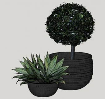 庭院盆栽盆景植物SU模型下载_sketchup草图大师SKP模型
