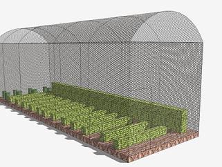 铁网蔬菜农业大棚SU模型下载_sketchup草图大师SKP模型