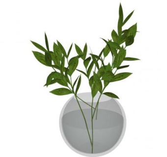 玻璃花瓶绿叶植物SU模型下载_sketchup草图大师SKP模型