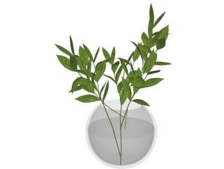 玻璃花瓶绿叶植物SU模型下载_sketchup草图大师SKP模型