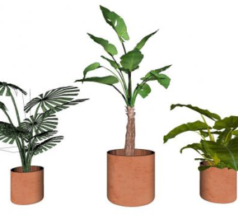 龟背盆景盆栽植物SU模型下载_sketchup草图大师SKP模型