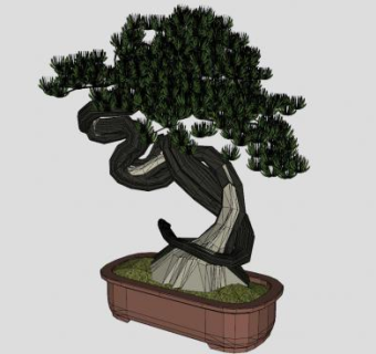 盆景盆栽迎客松SU模型下载_sketchup草图大师SKP模型
