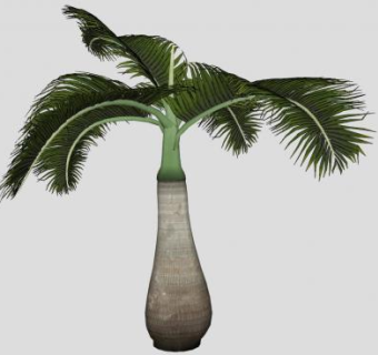 棕榈树景观树SU模型下载_sketchup草图大师SKP模型