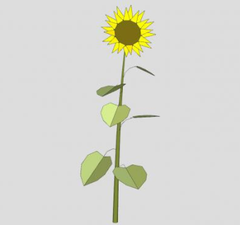 简单的向日葵SU模型下载_sketchup草图大师SKP模型