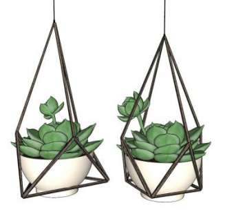 吊篮多肉植物SU模型下载_sketchup草图大师SKP模型