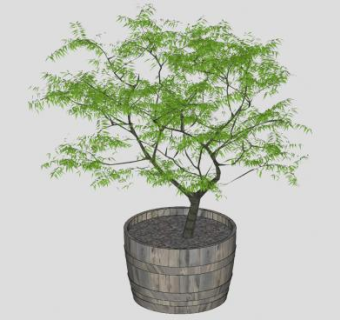 花盆植物盆栽盆景SU模型下载_sketchup草图大师SKP模型