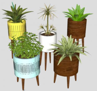 木质花盆盆栽植物SU模型下载_sketchup草图大师SKP模型