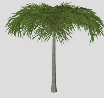 精细热带树SU模型下载_sketchup草图大师SKP模型
