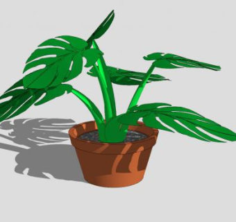 花盆里的龟背竹SU模型下载_sketchup草图大师SKP模型