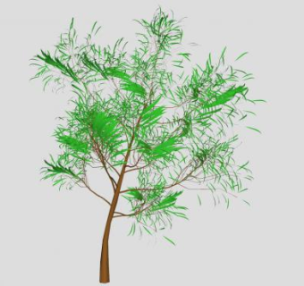 3D小树SU模型下载_sketchup草图大师SKP模型