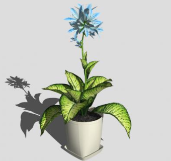 室内花盆盆栽盆景植物SU模型下载_sketchup草图大师SKP模型