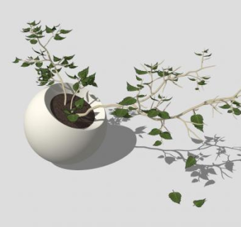 室内植物盆栽摆件SU模型下载_sketchup草图大师SKP模型